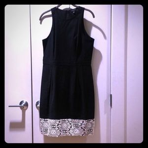 Ann Taylor Fitted Black Dress with Lace Hem